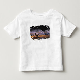 Bison grazing in the Upper Geyser Basin Toddler T-Shirt