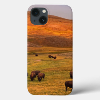 Bison Grazing on Hill at Hayden Valley iPhone 13 Case