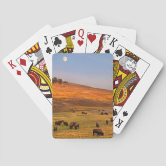 Bison Grazing on Hill at Hayden Valley Playing Cards