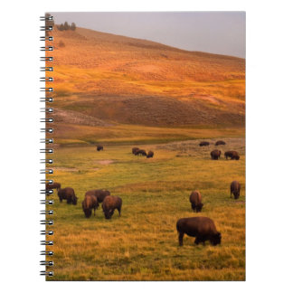 Bison Grazing on Hill at Hayden Valley Spiral Notebook