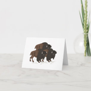 Bison Greeting Card