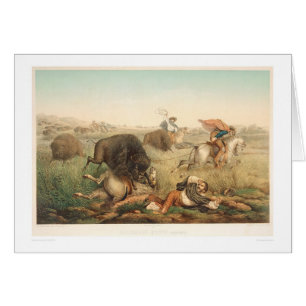 Bison Hunt (0008A)