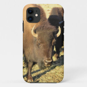 Bison in Colorado Case-Mate iPhone Case