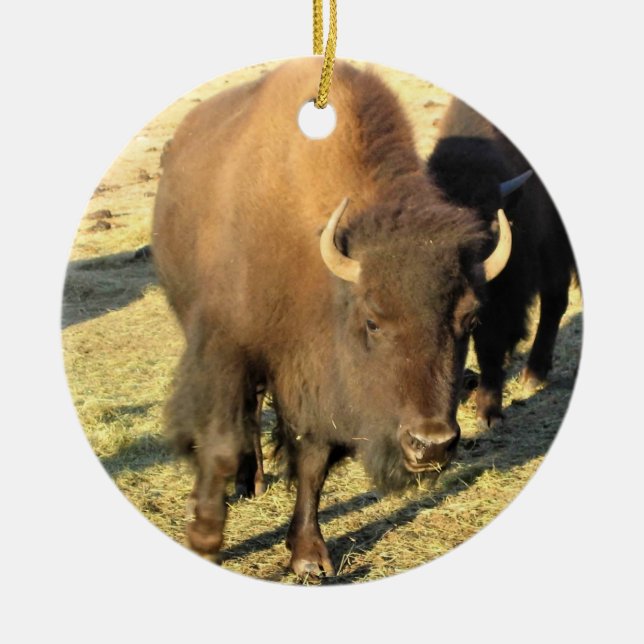 Bison in Colorado Ceramic Tree Decoration (Front)