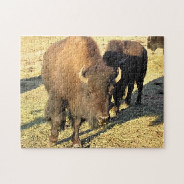 Bison in Colorado Jigsaw Puzzle (Horizontal)