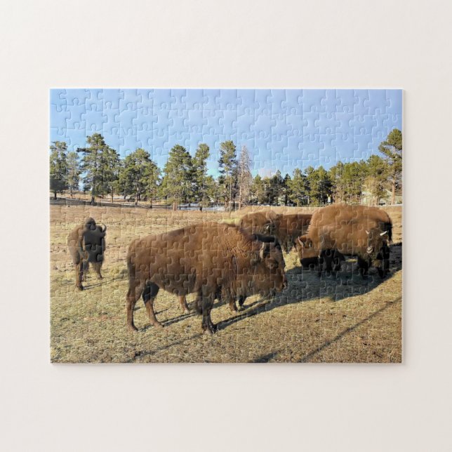 Bison in Colorado Jigsaw Puzzle (Horizontal)