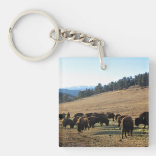Bison in Colorado Key Ring