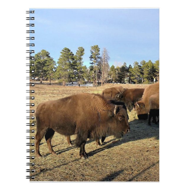 Bison in Colorado Notebook (Front)