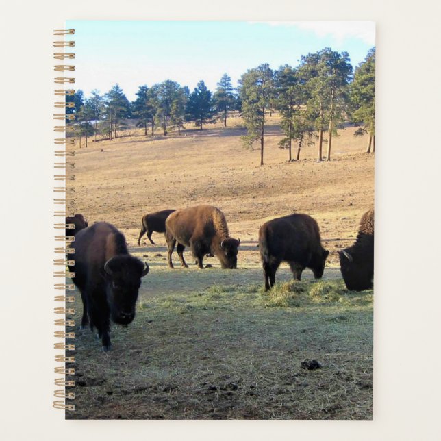 Bison in Colorado Planner (Front)