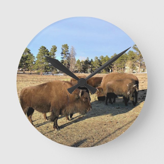 Bison in Colorado Round Clock (Front)