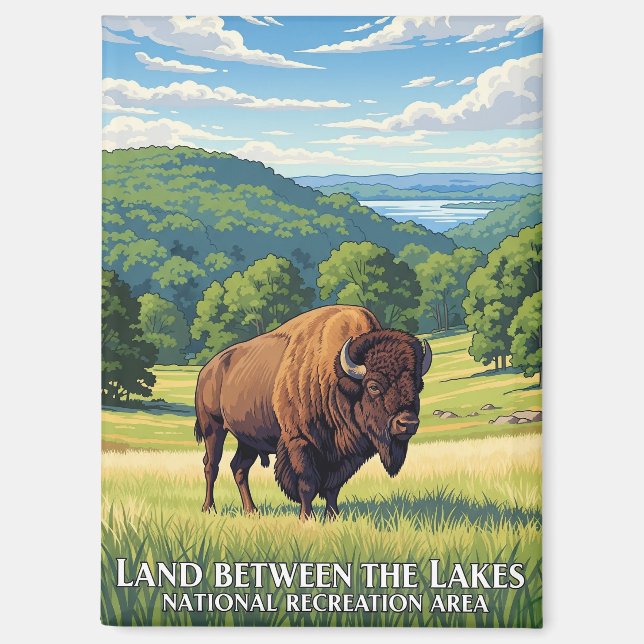 Bison in Land Between the Lakes Kentucky Magnet (Front)