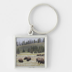 Bison in the Hayden Valley of Yellowstone Key Ring
