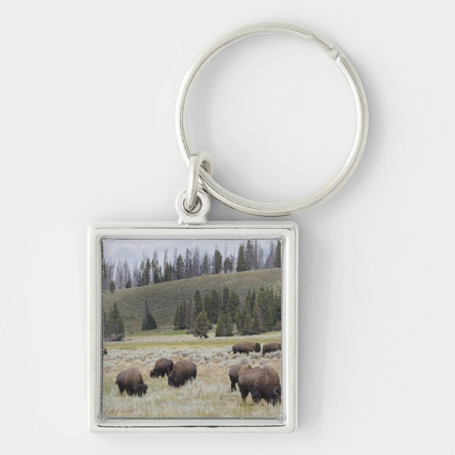 Bison in the Hayden Valley of Yellowstone Key Ring (Front)