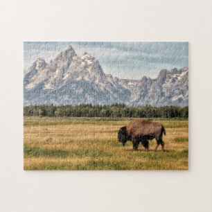 Bison in the Tetons Jigsaw Puzzle