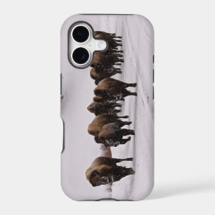 Bison in Winter