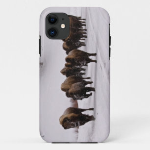 Bison in Winter Case-Mate iPhone Case