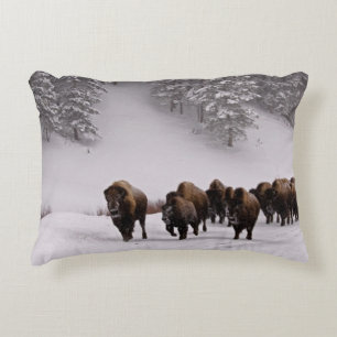 Bison in Winter Decorative Cushion