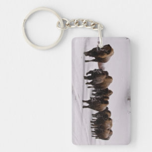 Bison in Winter Key Ring