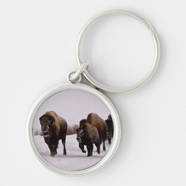 Bison in Winter Key Ring (Front)