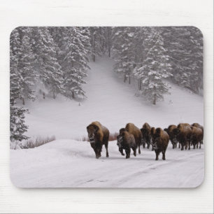 Bison in Winter Mouse Pad
