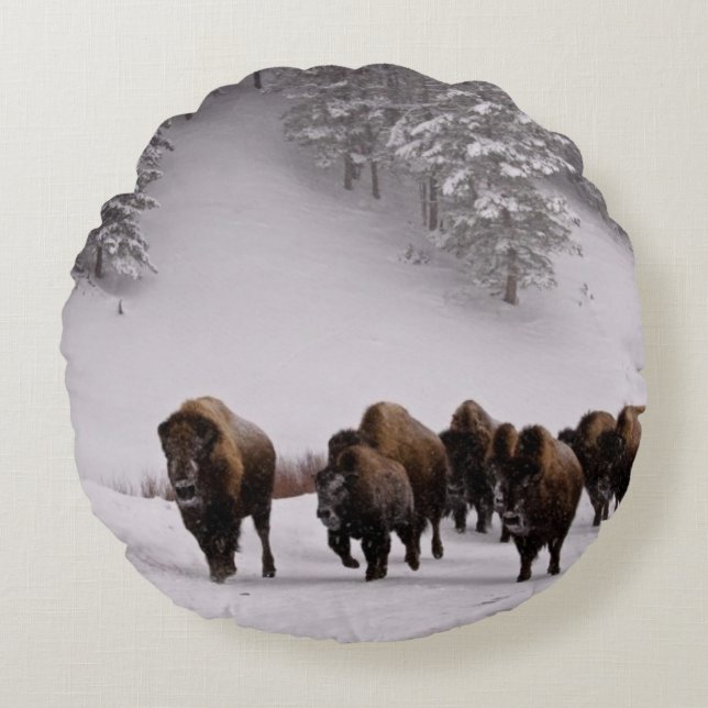 Bison in Winter Round Cushion (Front)