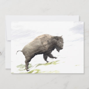 Bison in winter storm