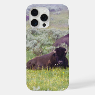 Bison iPhone 15 Pro Max Case