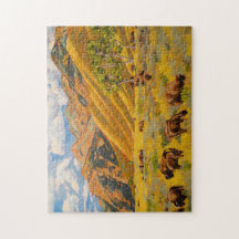 Bison, Jackson Hole