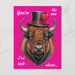 Bison Love with a Wild Sense of Humour Holiday Postcard