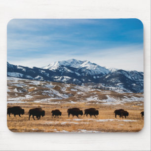 Bison Migration Mouse Pad