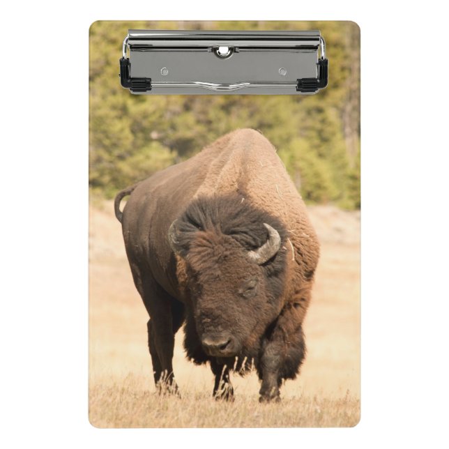 Bison Mini Clipboard (Front)
