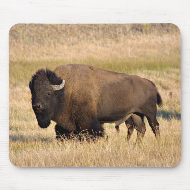 Bison mousepad (Front)