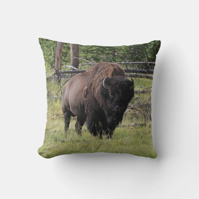 Bison of Yellowstone Photo Cushion (Front)