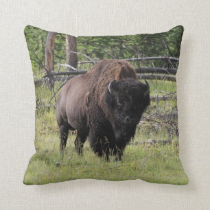 Bison of Yellowstone Photo Cushion