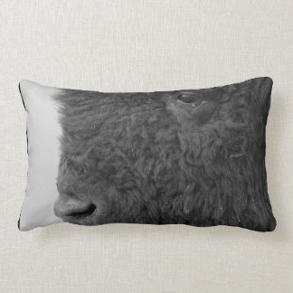 Bison or  Buffalo Pillow