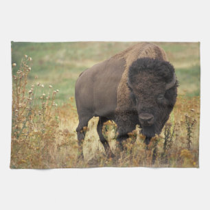 Bison photo tea towel
