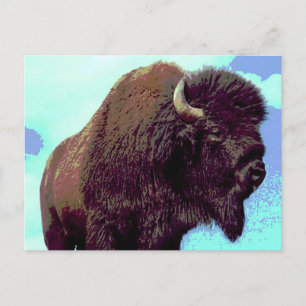 Bison Pop Art Postcard