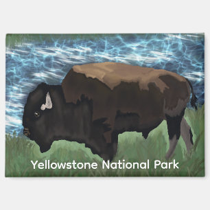 Bison Roaming Through Yellowstone National Park Magnet