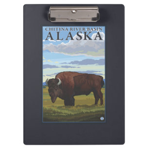 Bison Scene - Chitina River Basin, Alaska Clipboard