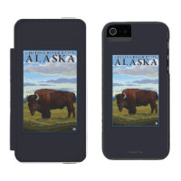 Bison Scene - Chitina River Basin, Alaska