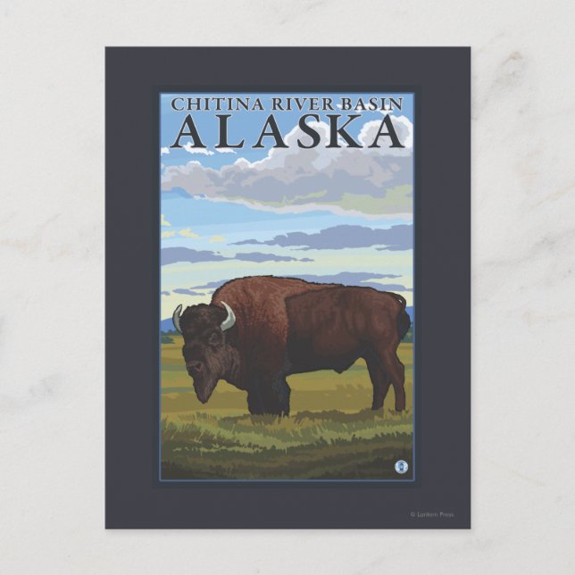 Bison Scene - Chitina River Basin, Alaska Postcard (Front)