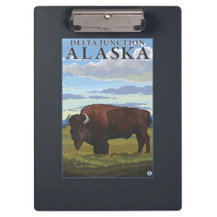 Bison Scene - Delta Junction, Alaska Clipboard