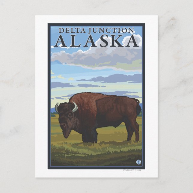 Bison Scene - Delta Junction, Alaska Postcard (Front)