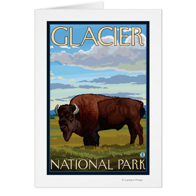 Bison Scene - Glacier National Park, MT (Front)