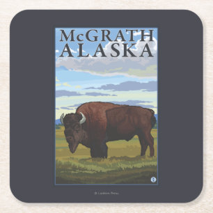 Bison Scene - McGrath, Alaska Square Paper Coaster
