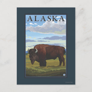 Bison Scene- Vintage Travel Poster Postcard