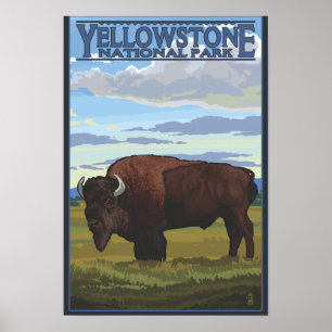 Bison Scene - Yellowstone National Park Poster