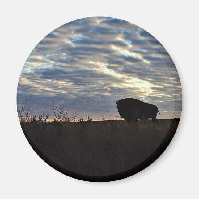 Bison Silhoutte  Magnet (Front)