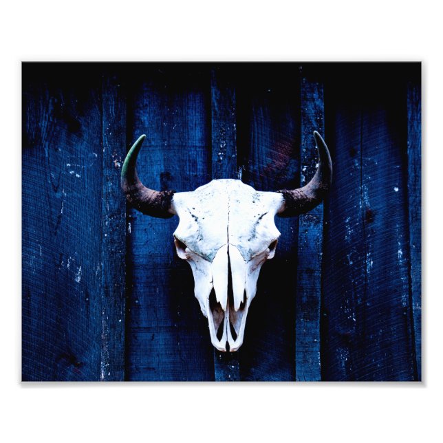 Bison Skull Photo Print (Front)