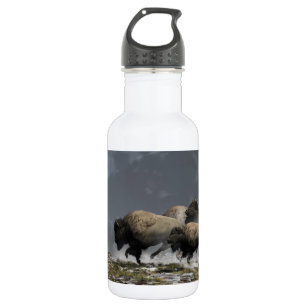 Bison Stampede 532 Ml Water Bottle